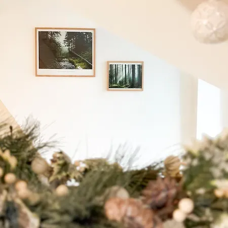 Daire Le Martin Saint-Die-des-Vosges