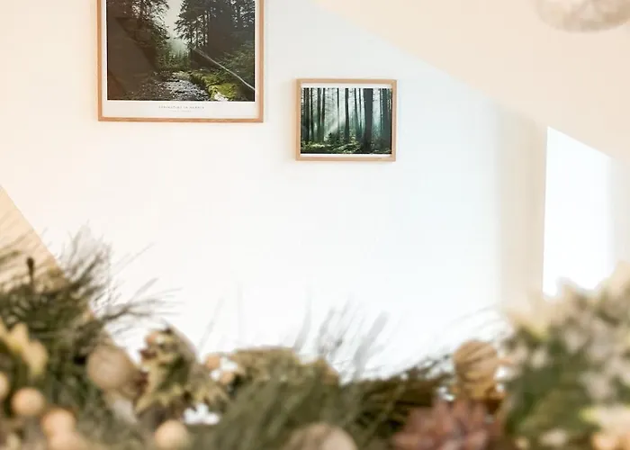 Appartement Le Martin Saint-Die-des-Vosges